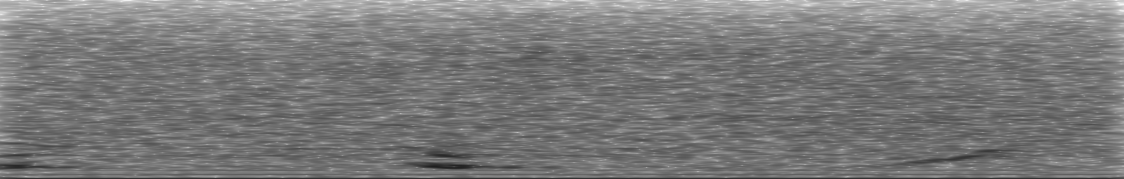 [Loading Spectrogram]