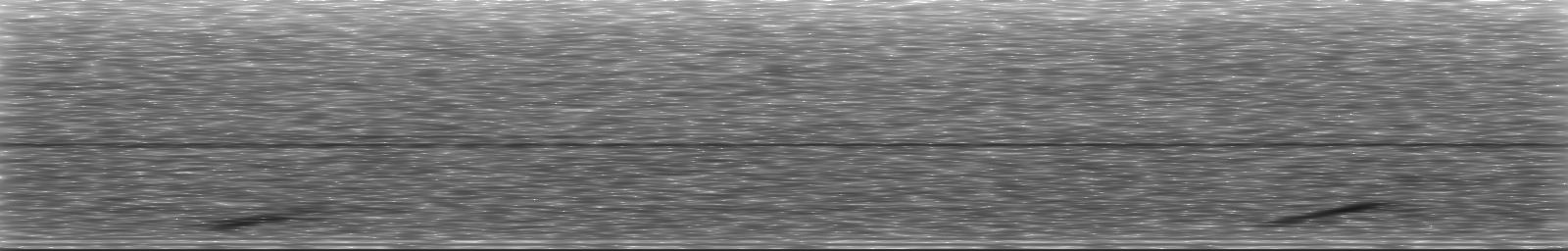 [Loading Spectrogram]