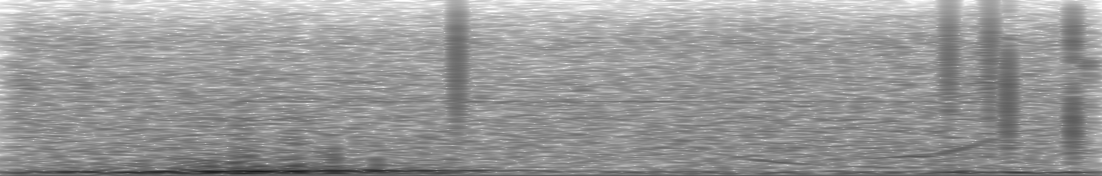 [Loading Spectrogram]