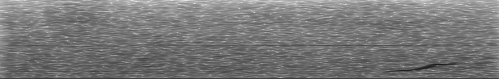 [Loading Spectrogram]