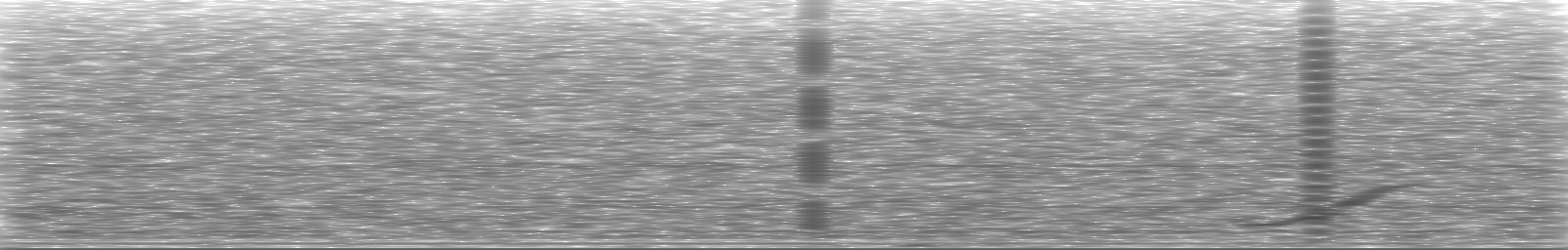 [Loading Spectrogram]