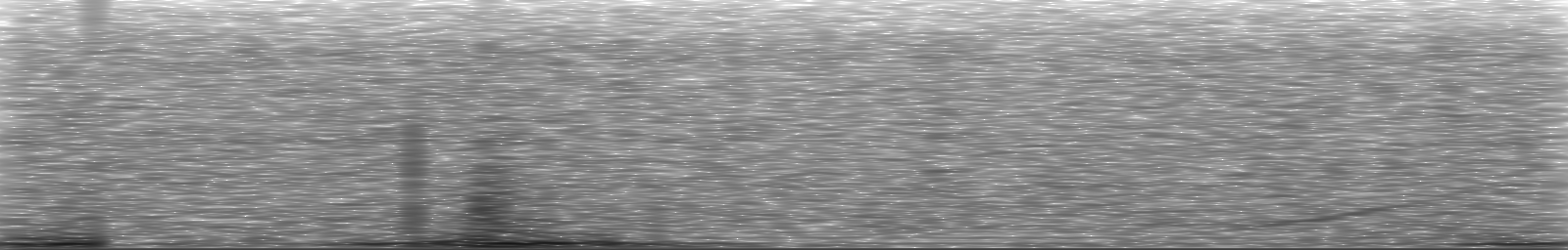 [Loading Spectrogram]