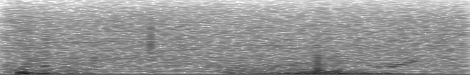 [Loading Spectrogram]