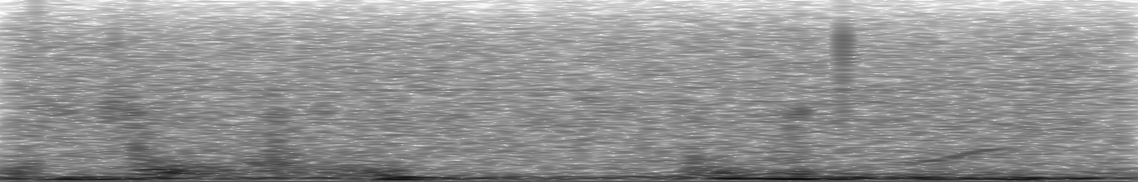 [Loading Spectrogram]