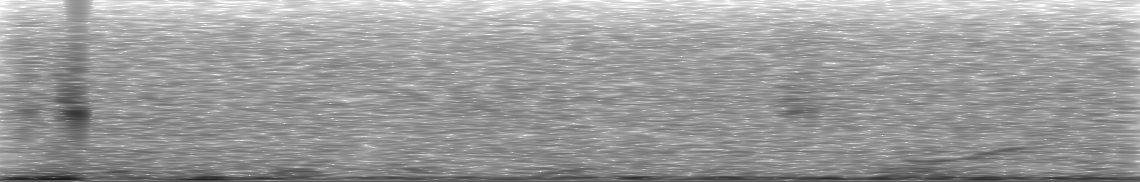 [Loading Spectrogram]