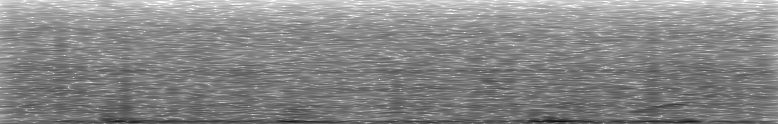 [Loading Spectrogram]