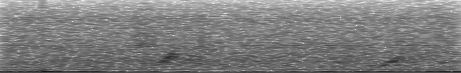 [Loading Spectrogram]