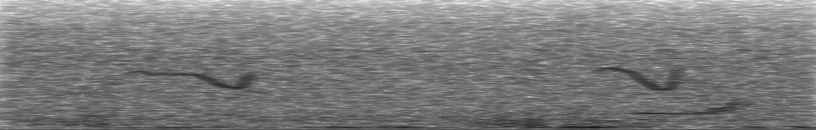 [Loading Spectrogram]