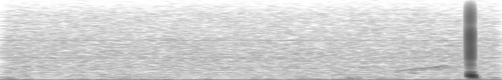 [Loading Spectrogram]