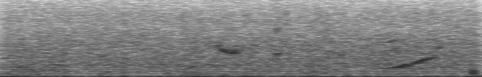 [Loading Spectrogram]