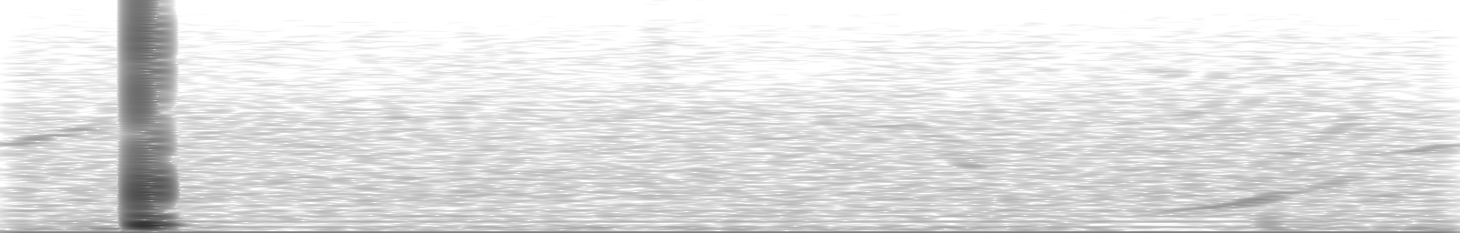 [Loading Spectrogram]