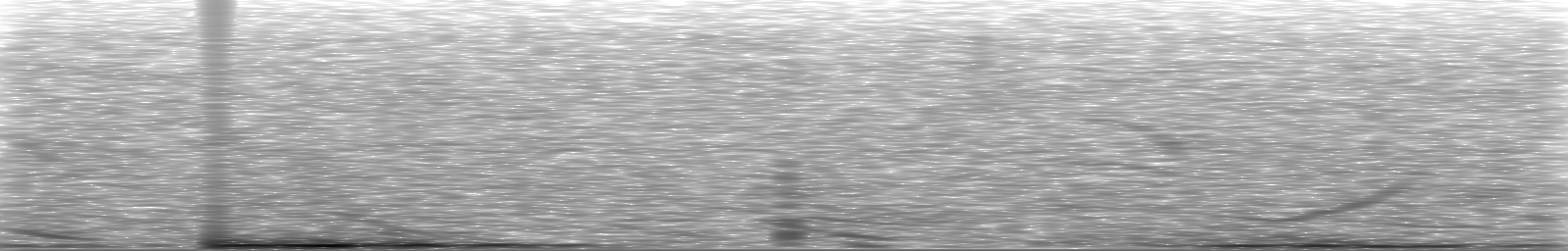 [Loading Spectrogram]