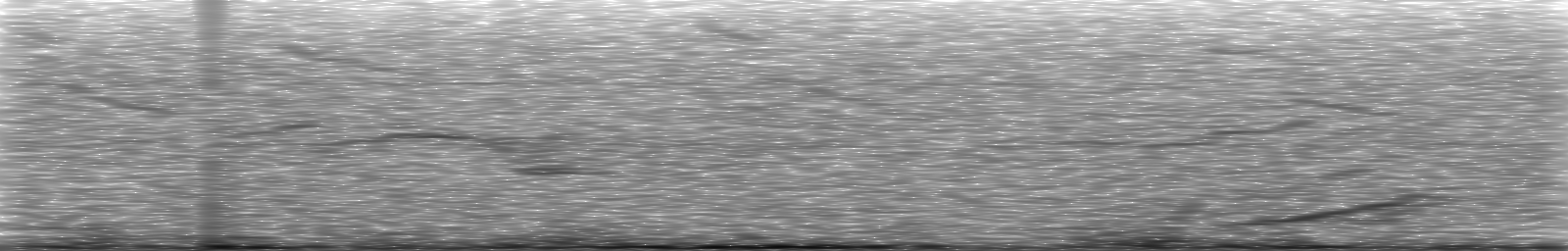 [Loading Spectrogram]