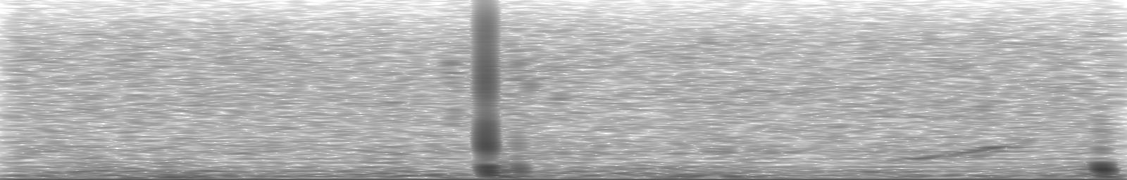 [Loading Spectrogram]