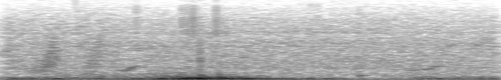 [Loading Spectrogram]