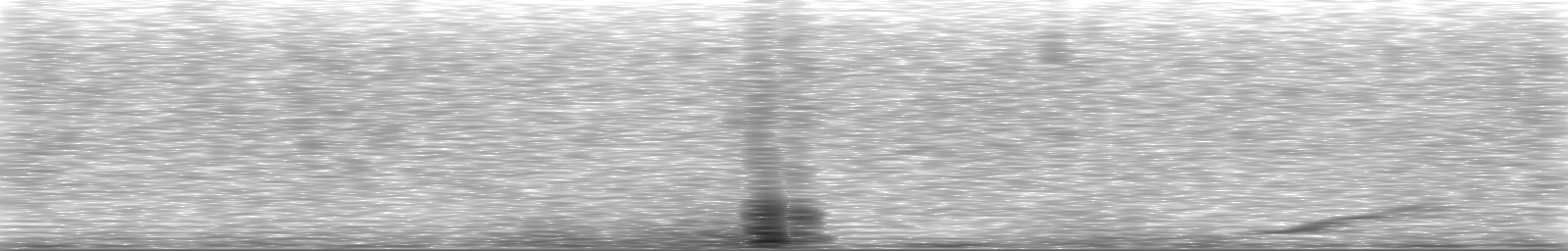 [Loading Spectrogram]