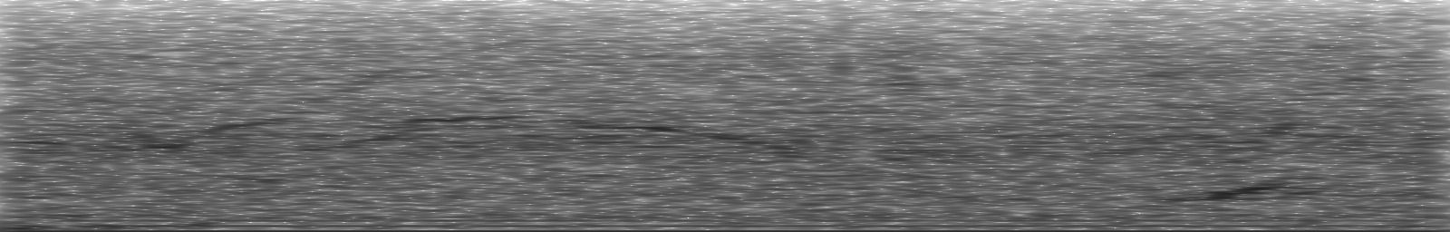 [Loading Spectrogram]