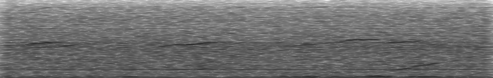 [Loading Spectrogram]