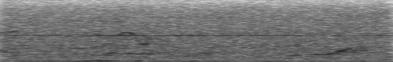 [Loading Spectrogram]