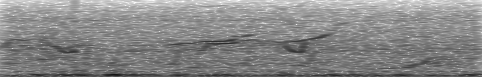 [Loading Spectrogram]