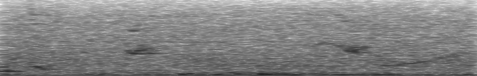 [Loading Spectrogram]