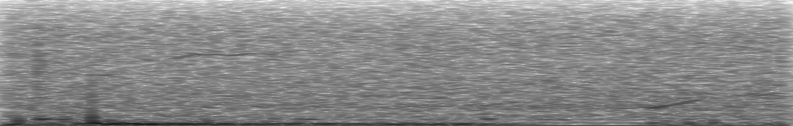 [Loading Spectrogram]