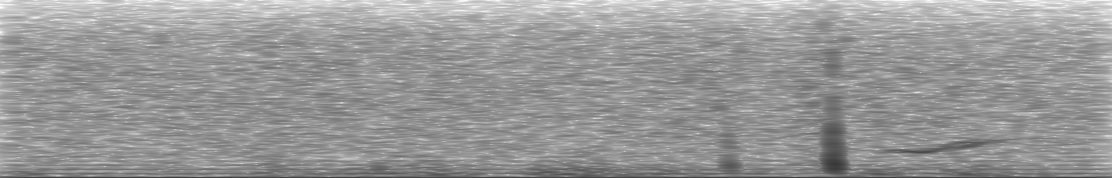 [Loading Spectrogram]