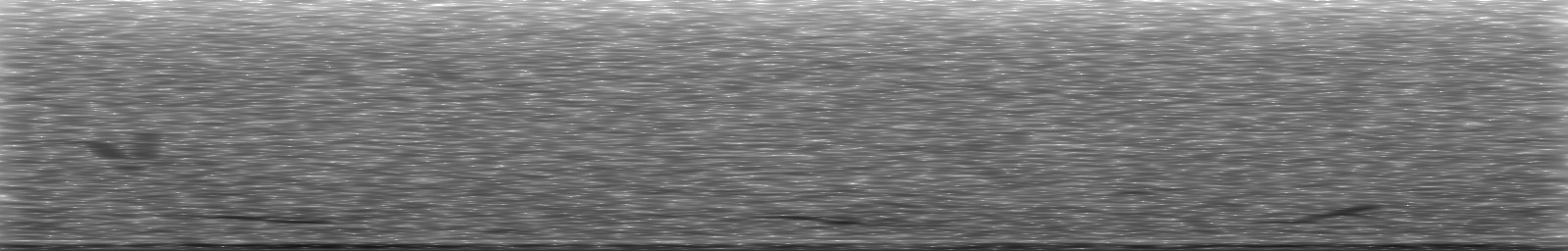 [Loading Spectrogram]