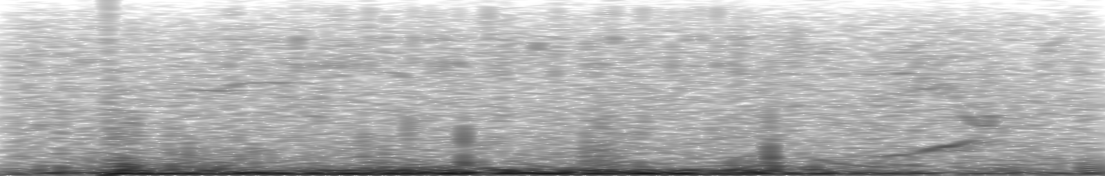 [Loading Spectrogram]