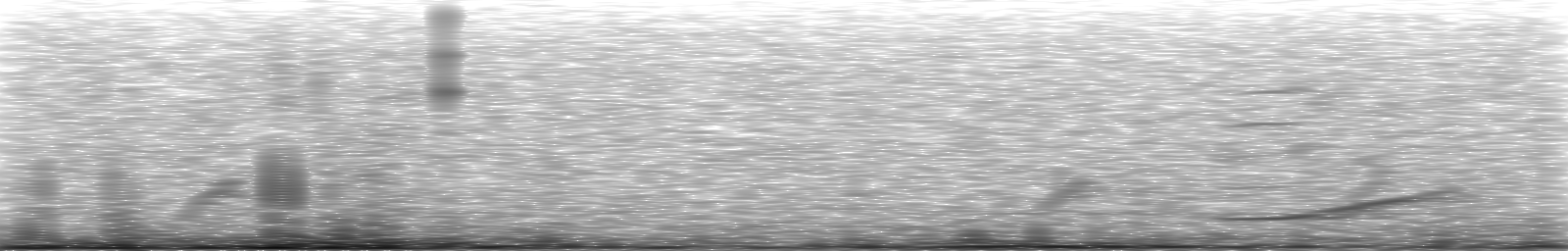 [Loading Spectrogram]