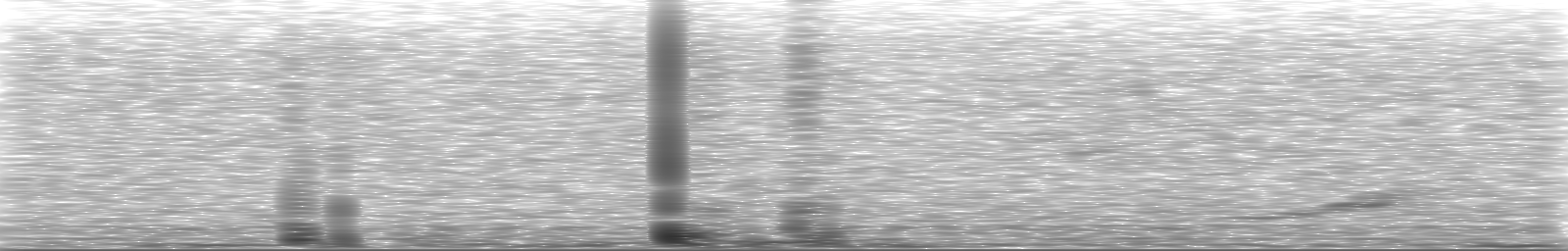 [Loading Spectrogram]