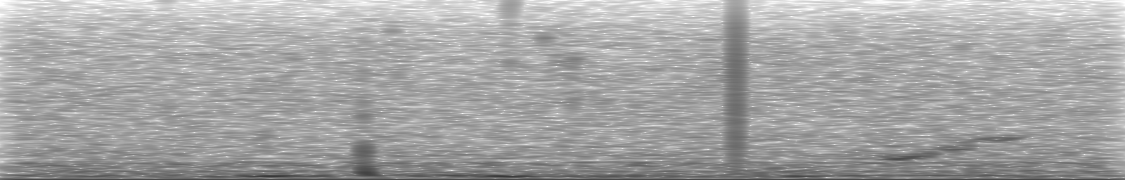 [Loading Spectrogram]