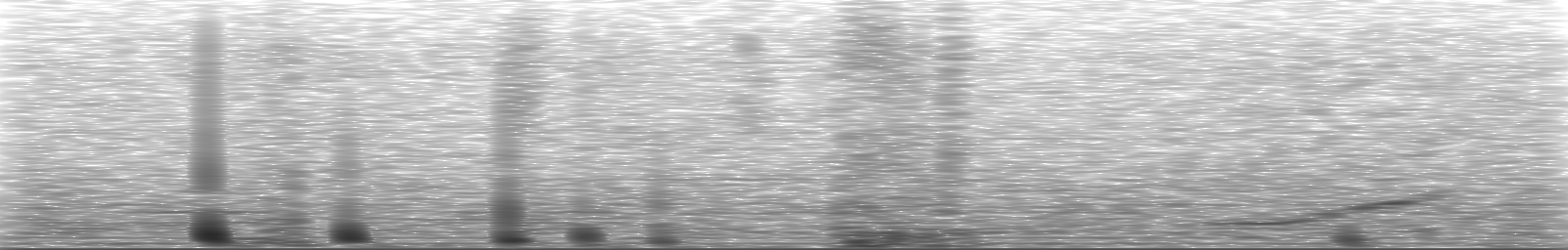 [Loading Spectrogram]