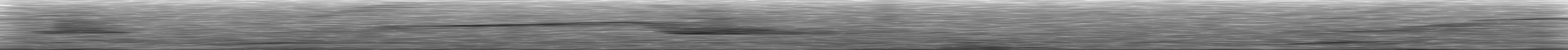 [Loading Spectrogram]