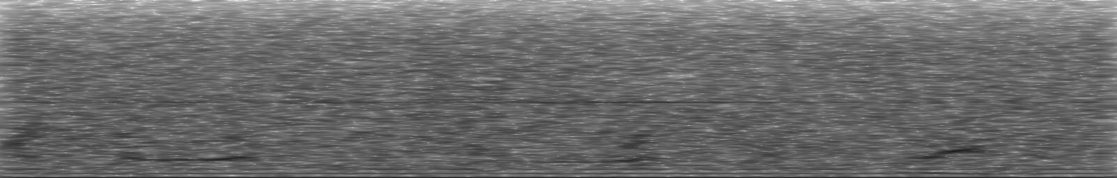 [Loading Spectrogram]