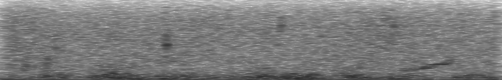 [Loading Spectrogram]