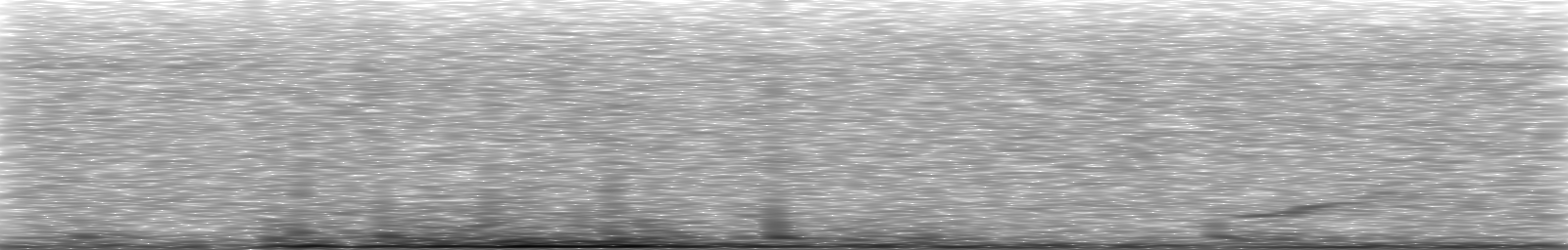 [Loading Spectrogram]