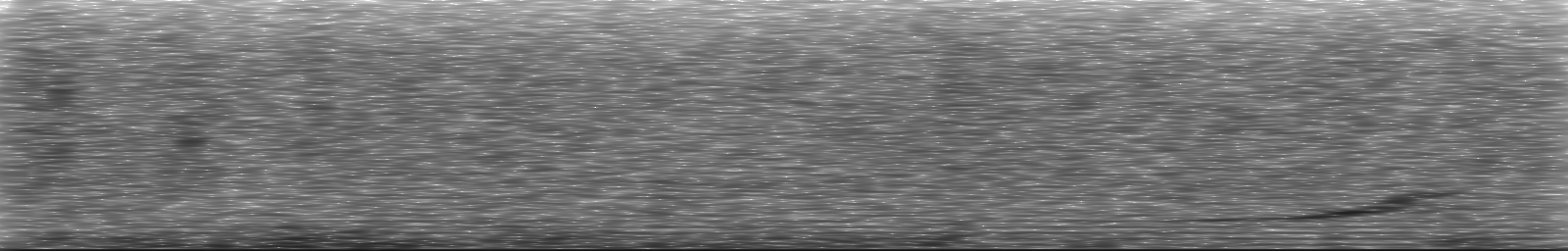 [Loading Spectrogram]