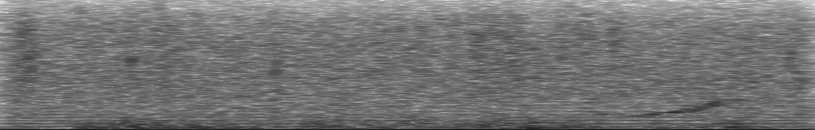 [Loading Spectrogram]