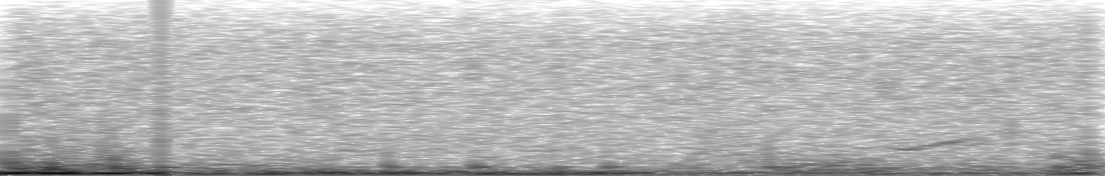 [Loading Spectrogram]