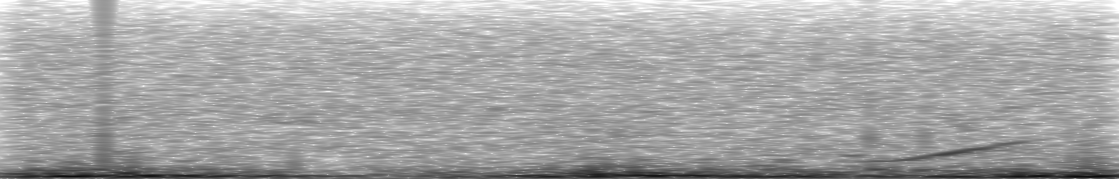 [Loading Spectrogram]