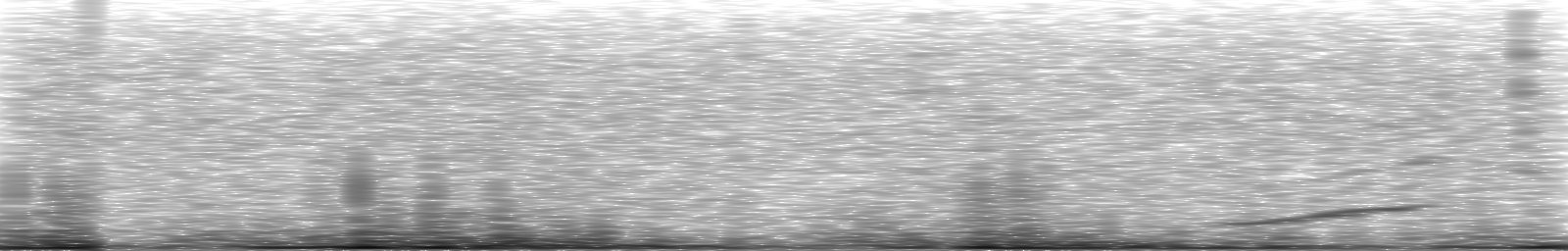 [Loading Spectrogram]