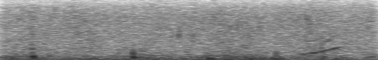 [Loading Spectrogram]