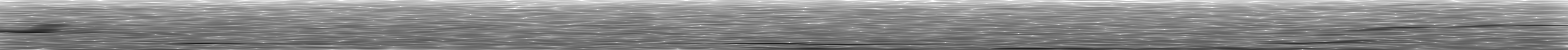 [Loading Spectrogram]