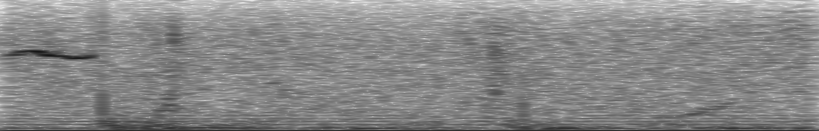 [Loading Spectrogram]