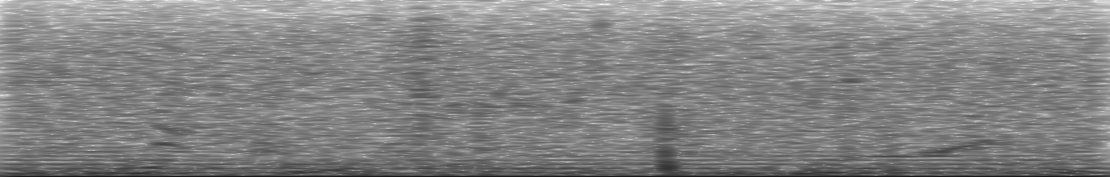 [Loading Spectrogram]