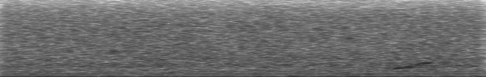 [Loading Spectrogram]