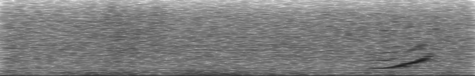 [Loading Spectrogram]