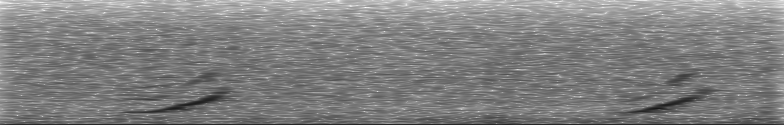 [Loading Spectrogram]