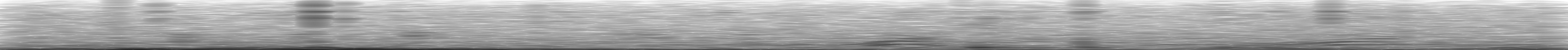 [Loading Spectrogram]